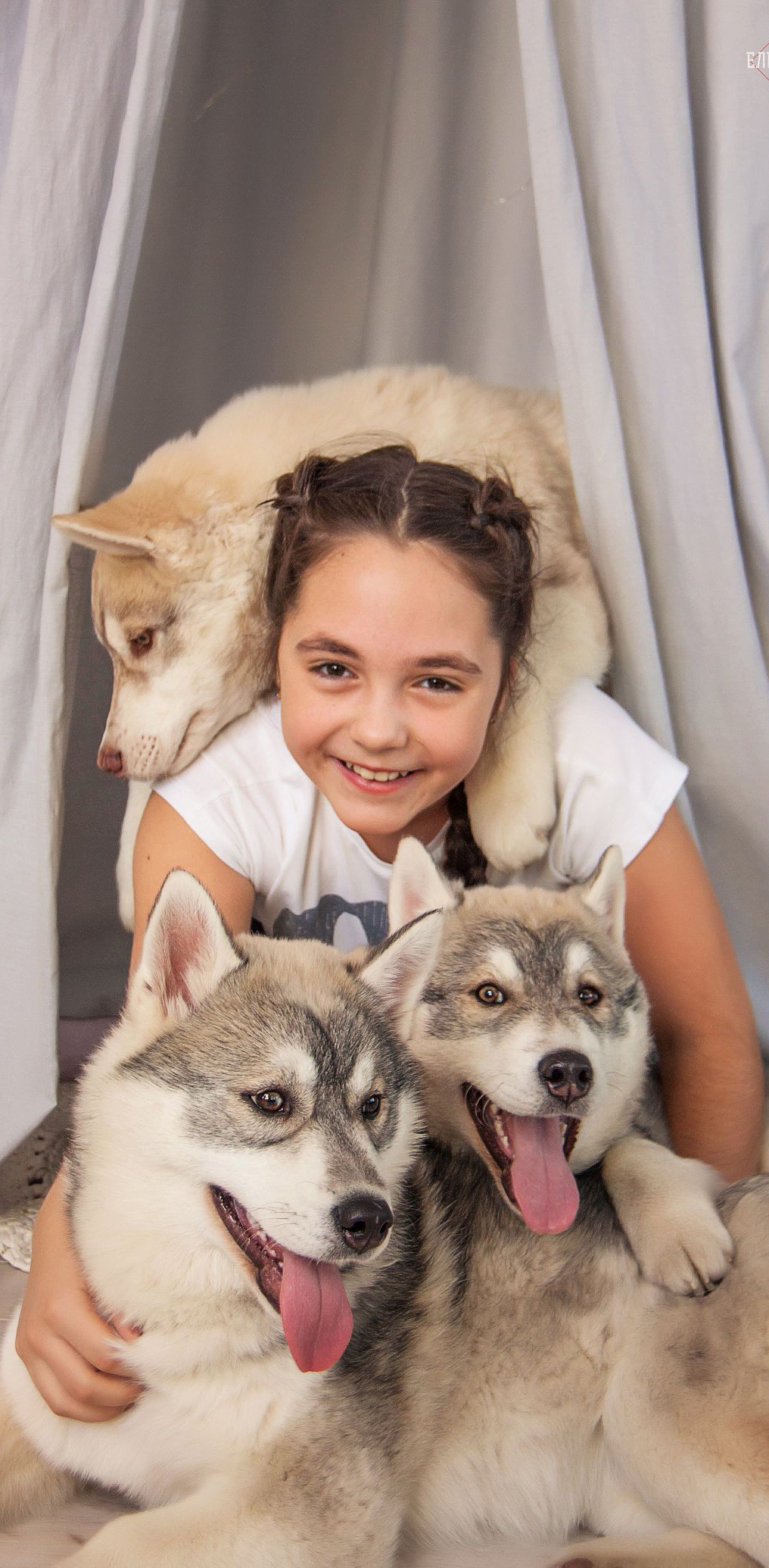 Детская фотосессия с собаками хаски